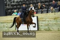 24BUCK_00103 proof