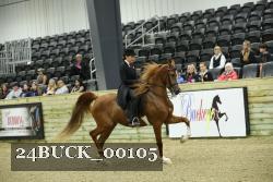 24BUCK_00105 proof