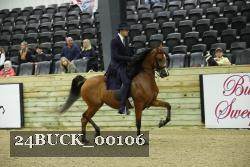 24BUCK_00106 proof