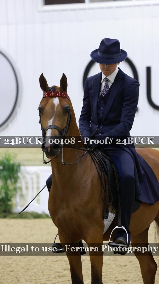 Proof 24BUCK_00108