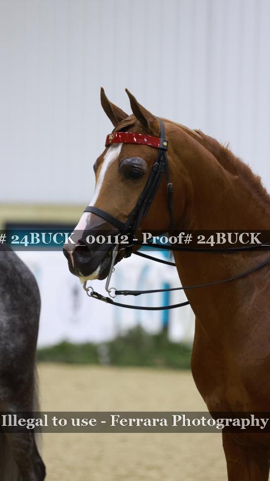 Proof 24BUCK_00112