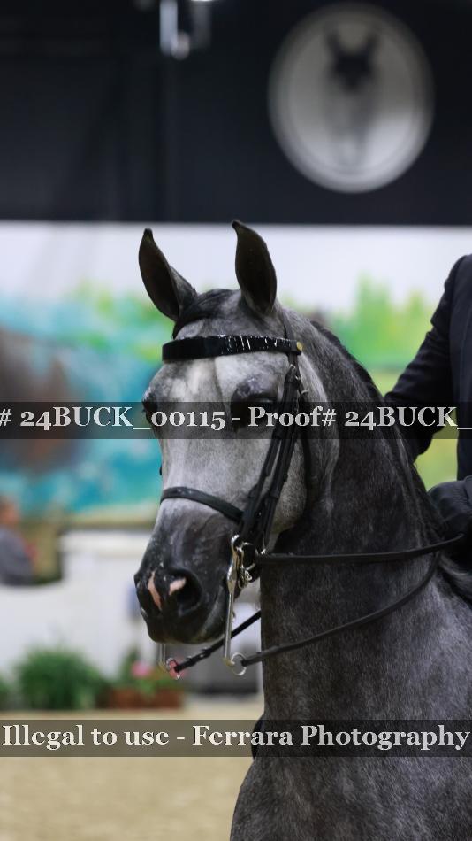 Proof 24BUCK_00115