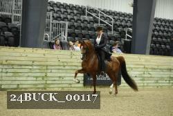 24BUCK_00117 proof