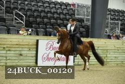 24BUCK_00120 proof