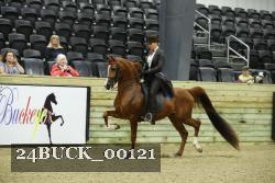 24BUCK_00121 proof