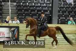 24BUCK_00123 proof