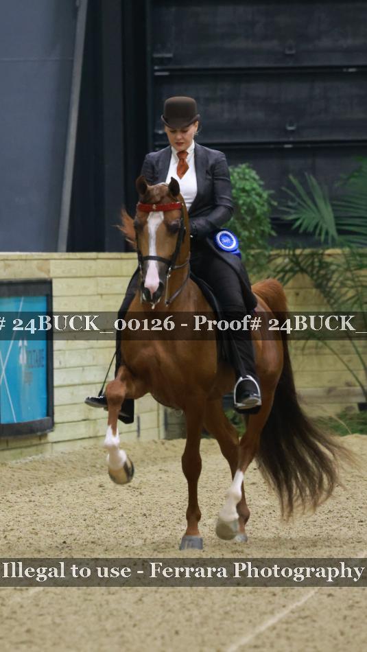 Proof 24BUCK_00126