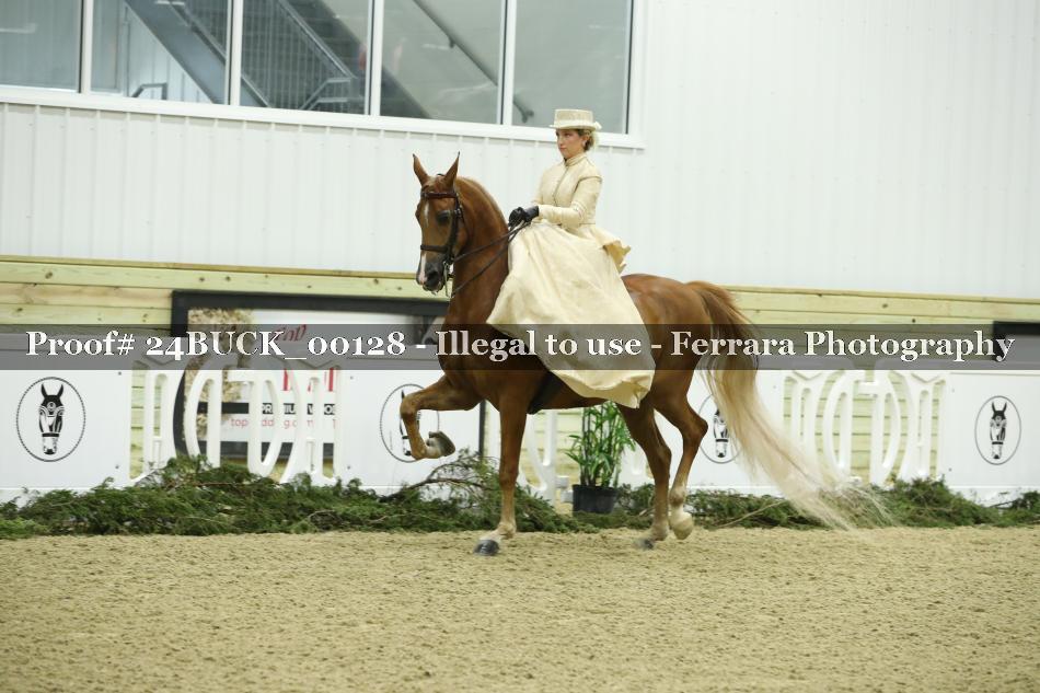 Proof 24BUCK_00128