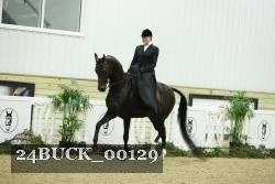 24BUCK_00129 proof