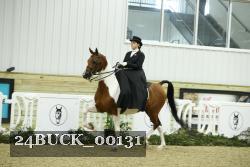 24BUCK_00131 proof