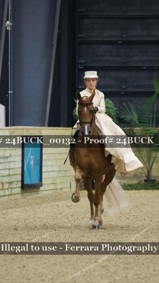 Proof 24BUCK_00132