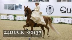 24BUCK_00137 proof