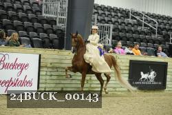 24BUCK_00143 proof