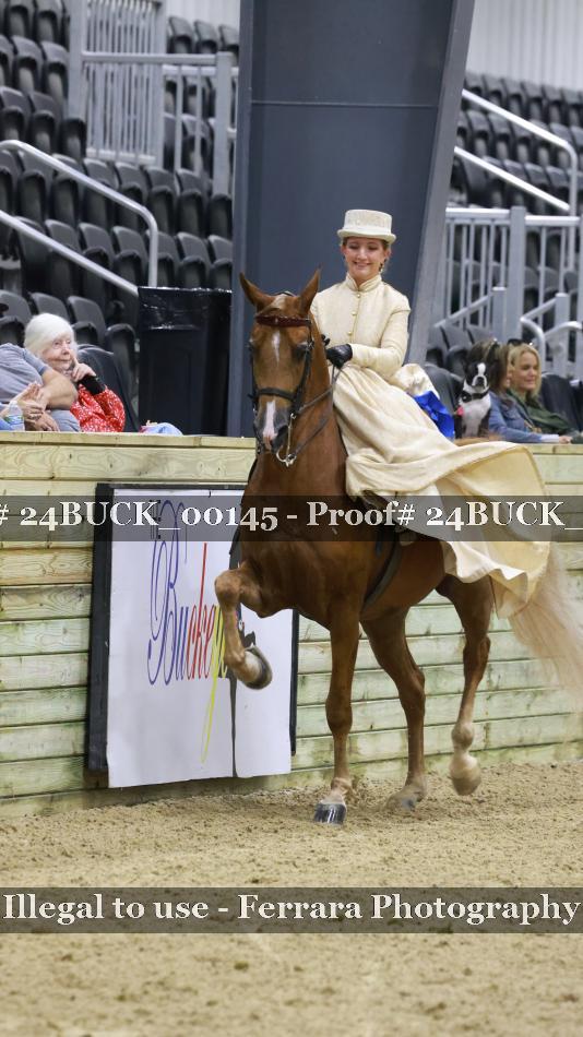 Proof 24BUCK_00145
