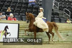 24BUCK_00147 proof