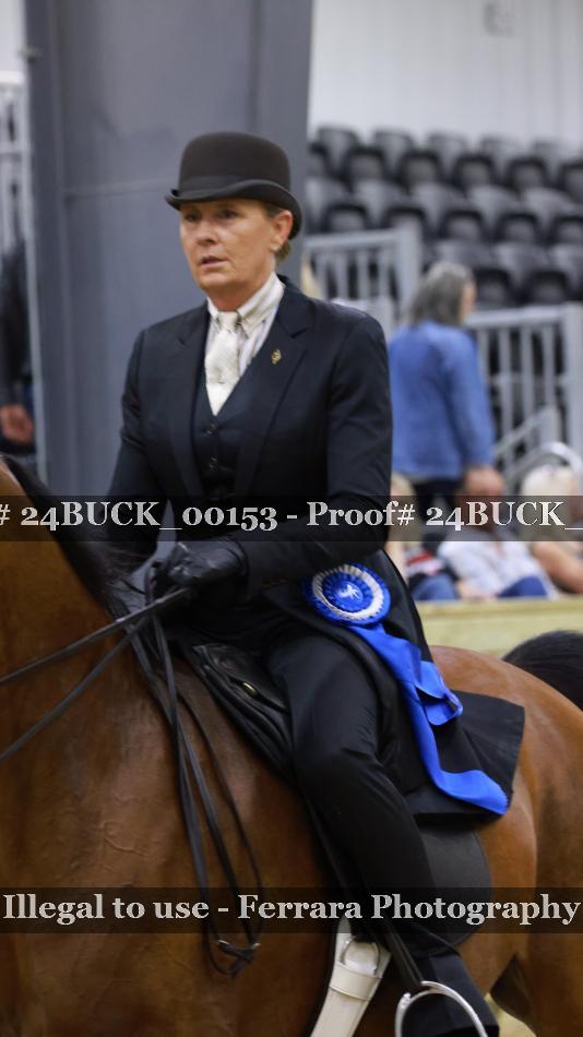 Proof 24BUCK_00153