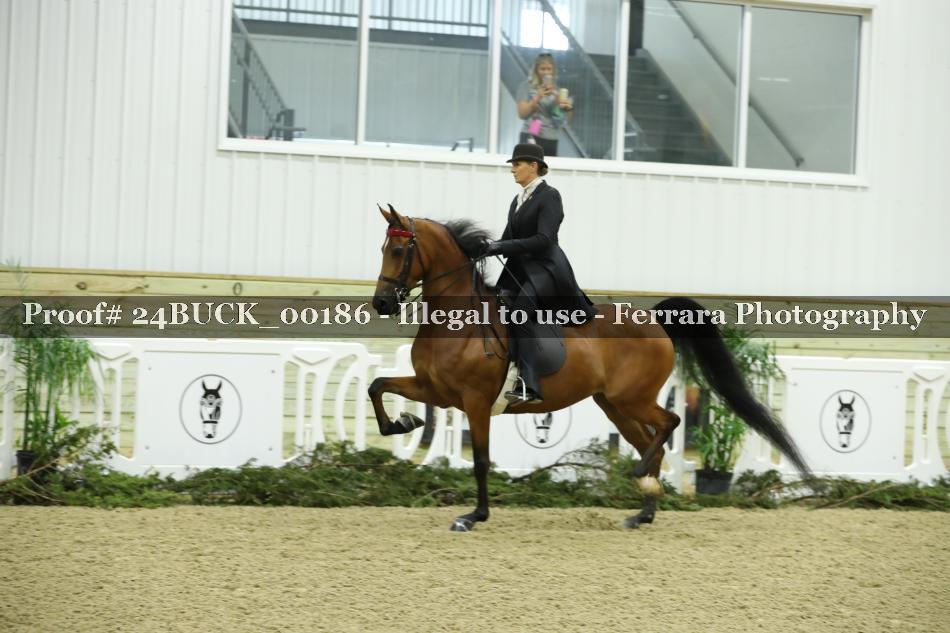 Proof 24BUCK_00186