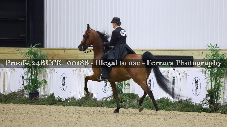 Proof 24BUCK_00188