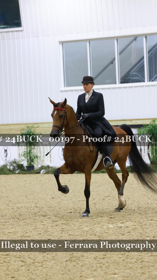 Proof 24BUCK_00197