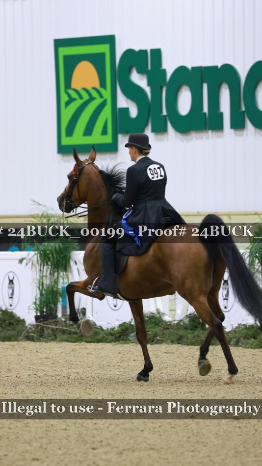 Proof 24BUCK_00199