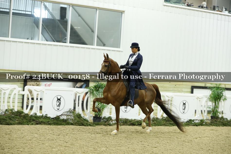 Proof 24BUCK_00158