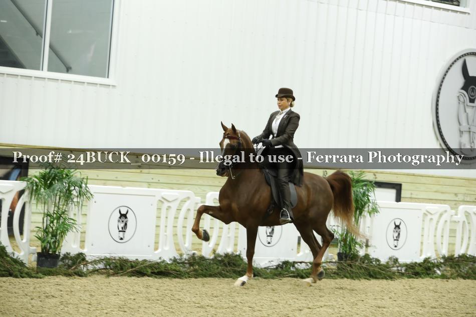 Proof 24BUCK_00159