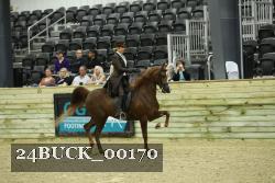 24BUCK_00170 proof