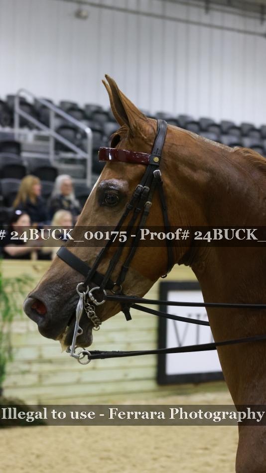 Proof 24BUCK_00175
