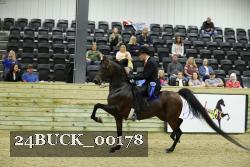 24BUCK_00178 proof