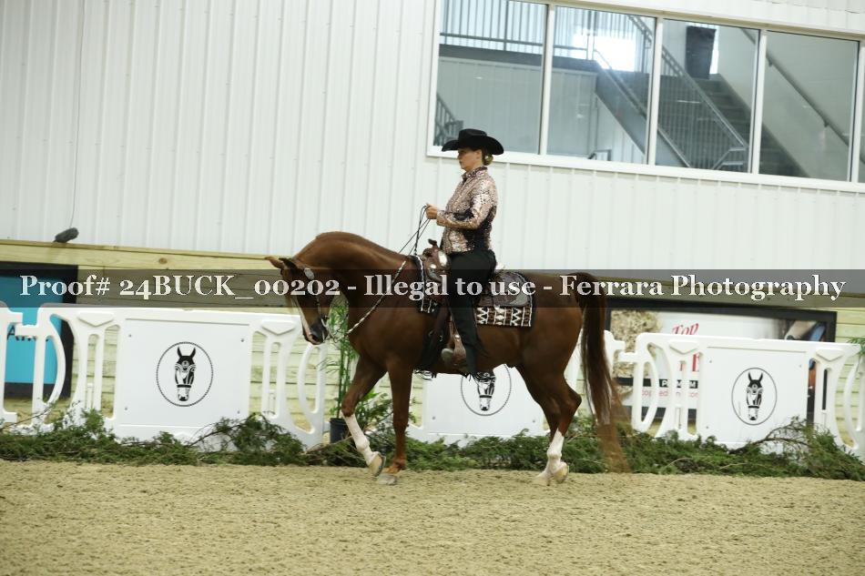 Proof 24BUCK_00202