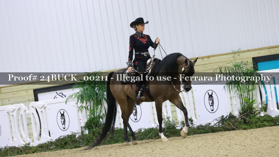 Proof 24BUCK_00211