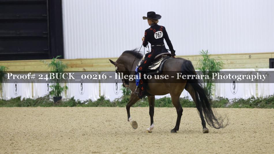 Proof 24BUCK_00216
