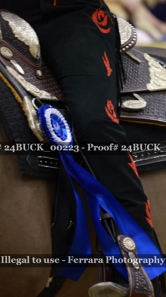 Proof 24BUCK_00223