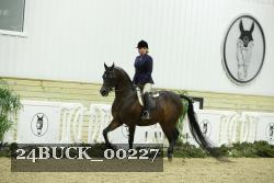 24BUCK_00227 proof