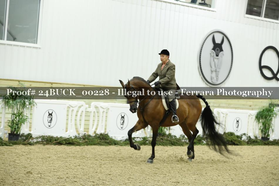 Proof 24BUCK_00228