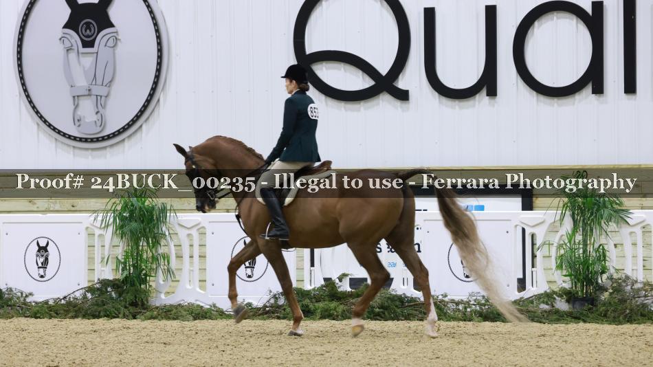 Proof 24BUCK_00235