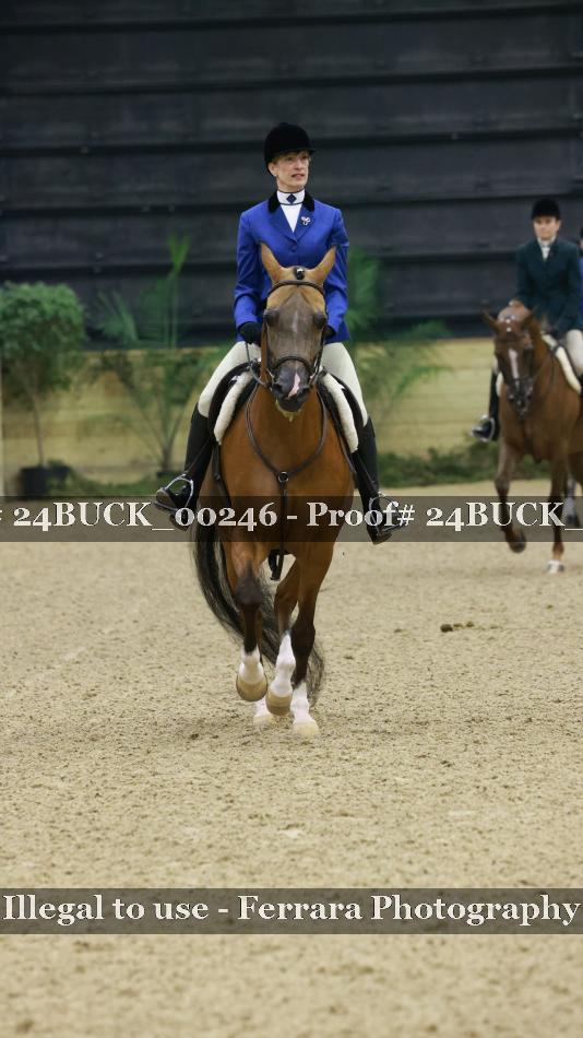 Proof 24BUCK_00246