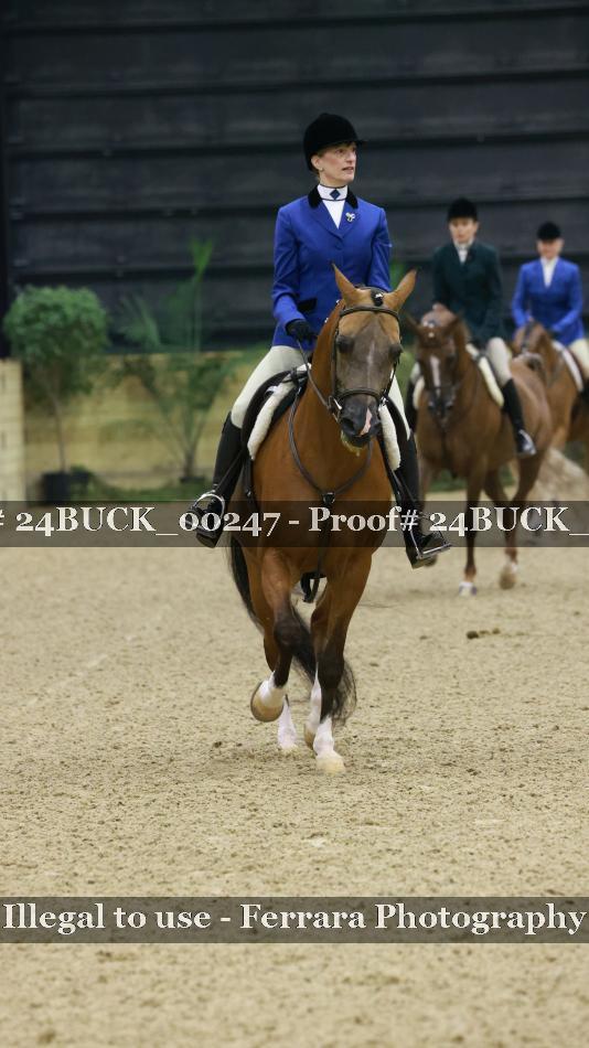 Proof 24BUCK_00247
