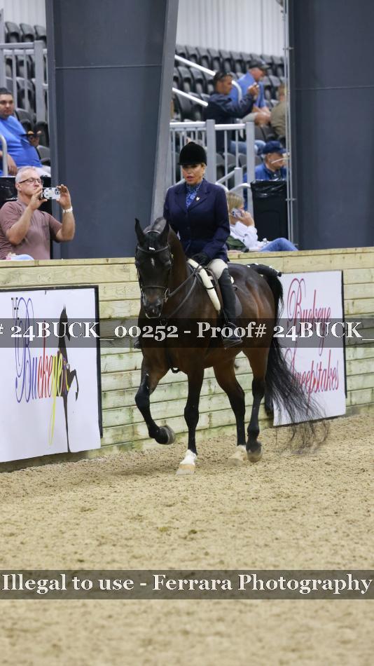 Proof 24BUCK_00252