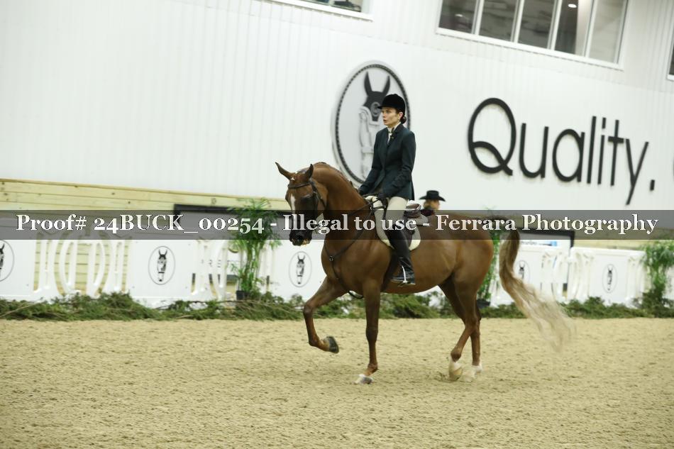 Proof 24BUCK_00254