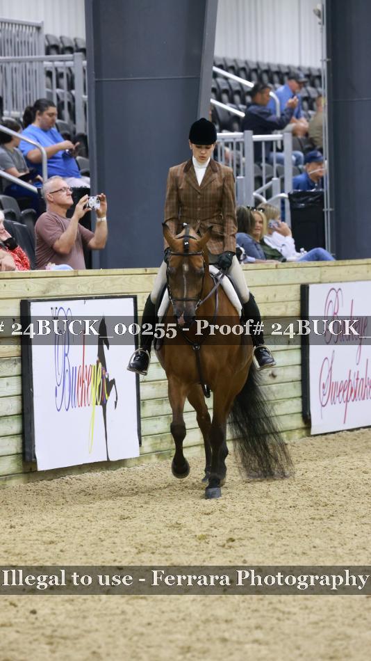 Proof 24BUCK_00255