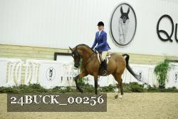 24BUCK_00256 proof