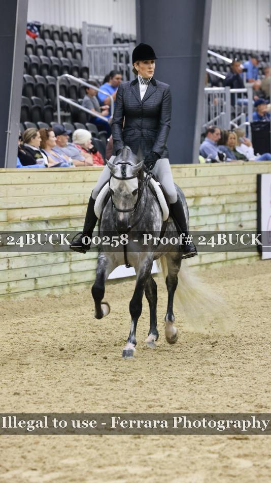 Proof 24BUCK_00258