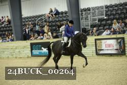 24BUCK_00264 proof