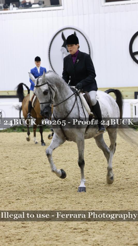 Proof 24BUCK_00265