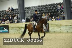 24BUCK_00266 proof