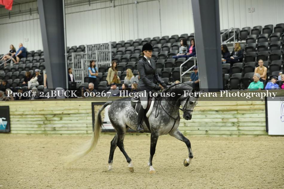 Proof 24BUCK_00267