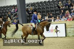 24BUCK_00271 proof