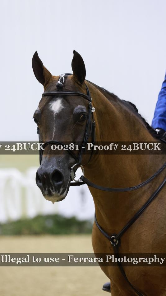 Proof 24BUCK_00281