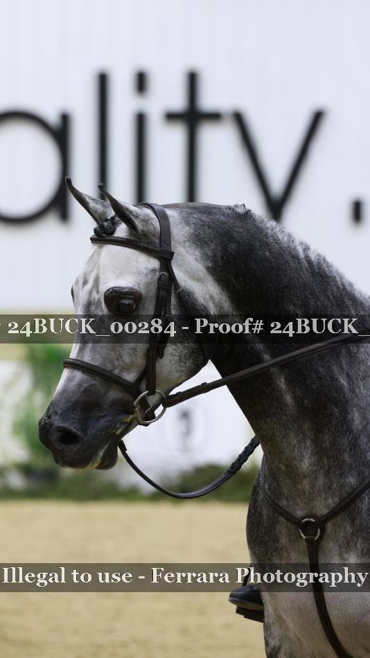 Proof 24BUCK_00284